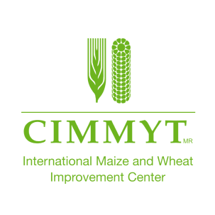 CIMMYT-logo-square 1